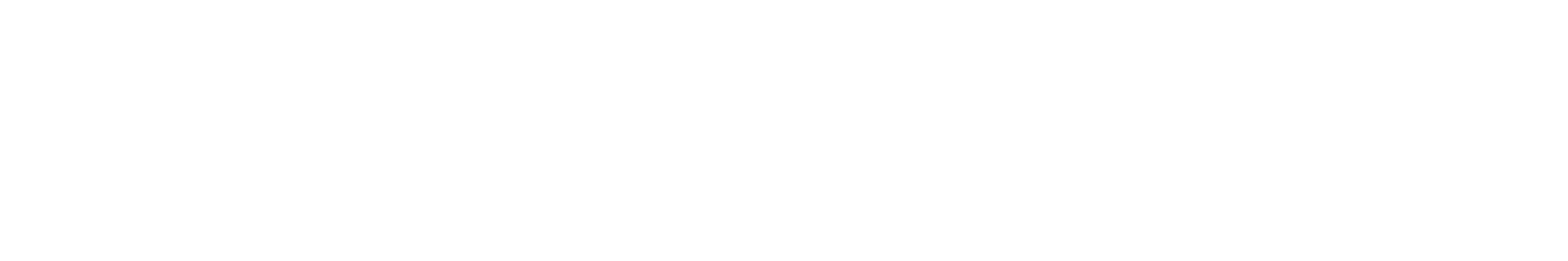 artikel1